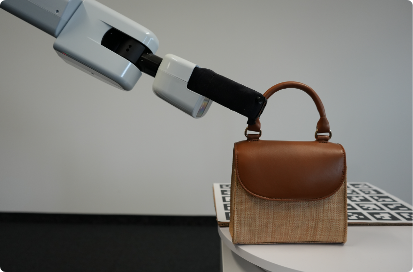 Interactive discovery processes on complex networks